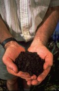 BioSoil
