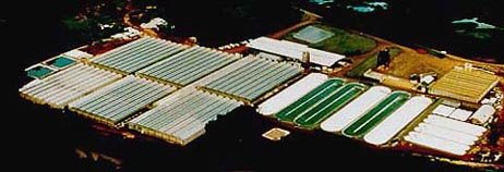 overhead view of UNISYN system